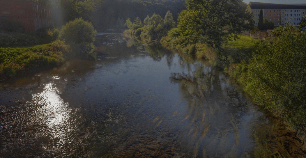 Zschopau unterhalb der Alten Baumwolle